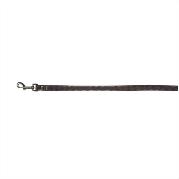 Laisse En Cuir Pour Chien Native Trixie