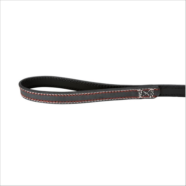 Laisse En Cuir Pour Chien Native Trixie