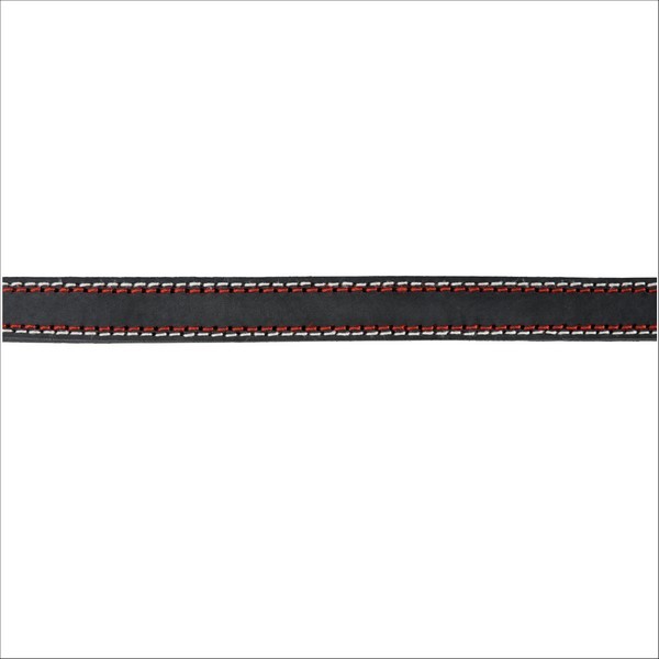 Laisse En Cuir Pour Chien Native Trixie