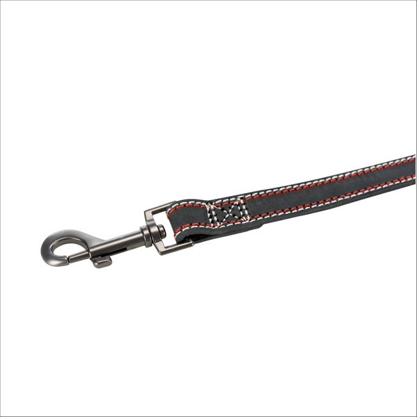 Laisse En Cuir Pour Chien Native Trixie