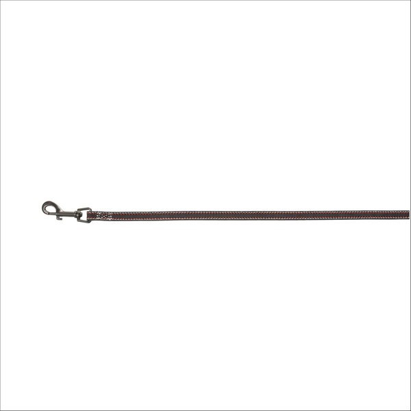 Laisse En Cuir Pour Chien Native Trixie