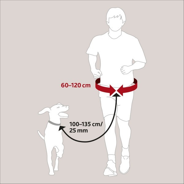 Ceinture Ventrale Avec Laisse Pour Chien Trixie