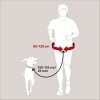Ceinture Ventrale Avec Laisse Pour Chien Trixie