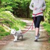 Ceinture Ventrale Avec Laisse Pour Chiens De Petite & Moyenne Taille Trixie