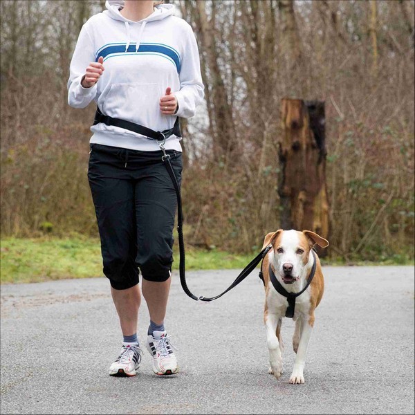 Ceinture Ventrale Avec Laisse Pour Chiens De Moyenne & Grande Taille Trixie