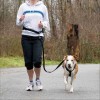Ceinture Ventrale Avec Laisse Pour Chiens De Moyenne & Grande Taille Trixie