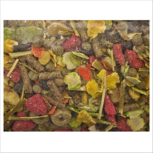 VDG Prémium Pour Chinchilla 12,5 KG