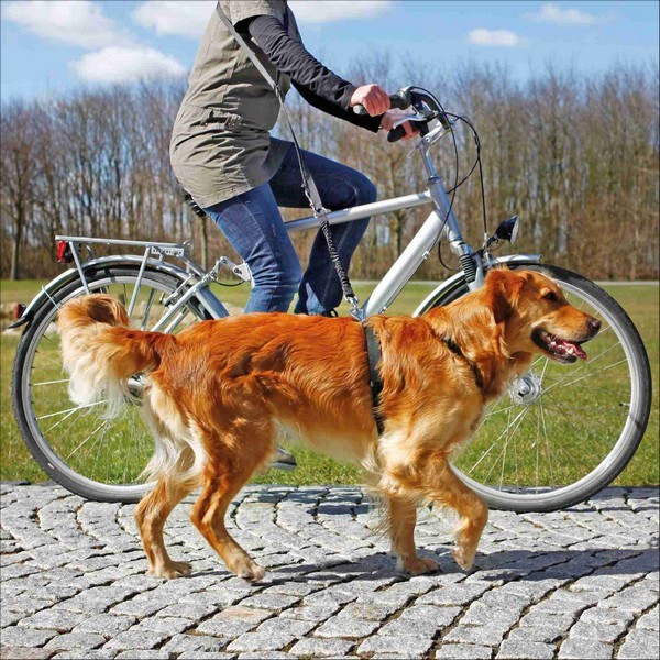 Laisse Vélo & Jogging Pour Chien Trixie