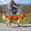 Laisse Vélo & Jogging Pour Chien Trixie