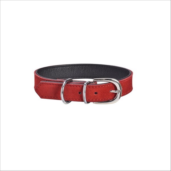 Collier Aspen Pour Chien Bobby