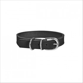 Collier Aspen Pour Chien Bobby
