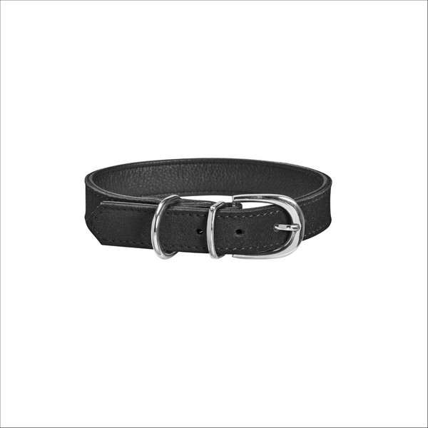 Collier Aspen Pour Chien Bobby