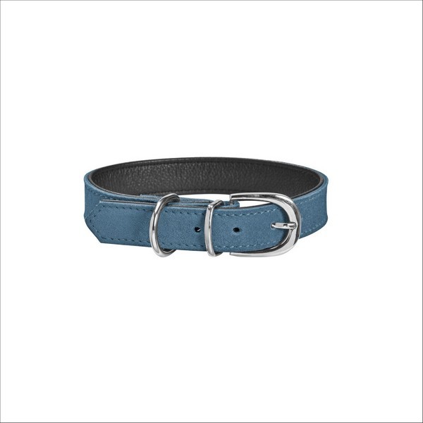 Collier Aspen Pour Chien Bobby
