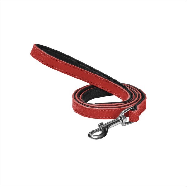 Laisse Aspen Pour Chien Bobby