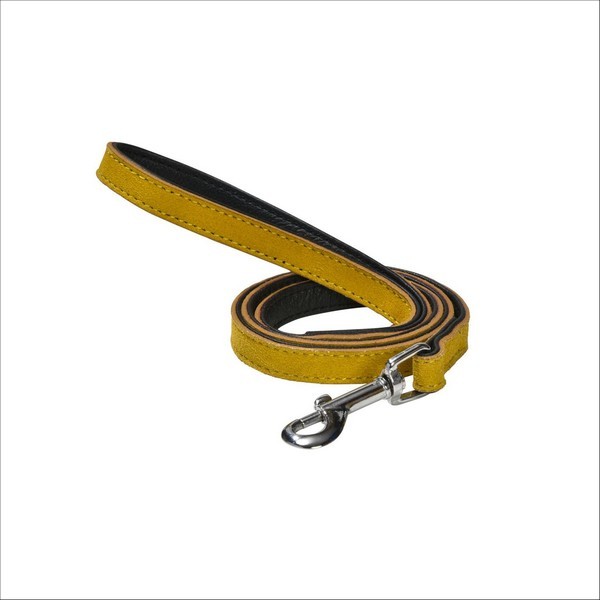 Laisse Aspen Pour Chien Bobby