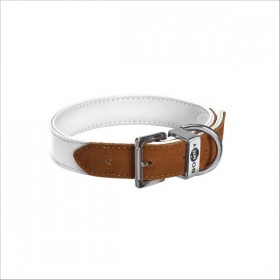 Collier Hasard Pour Chien Bobby