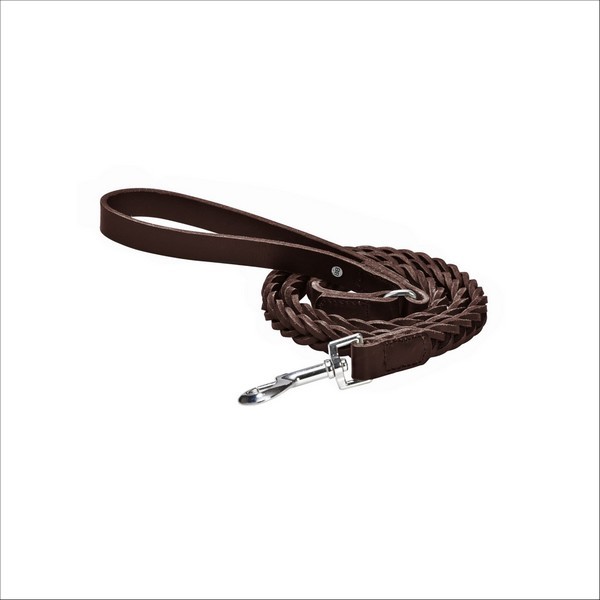 Laisse Tresse Pour Chien Bobby