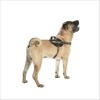 Harnais Easy Camouflage Pour Chien Bobby
