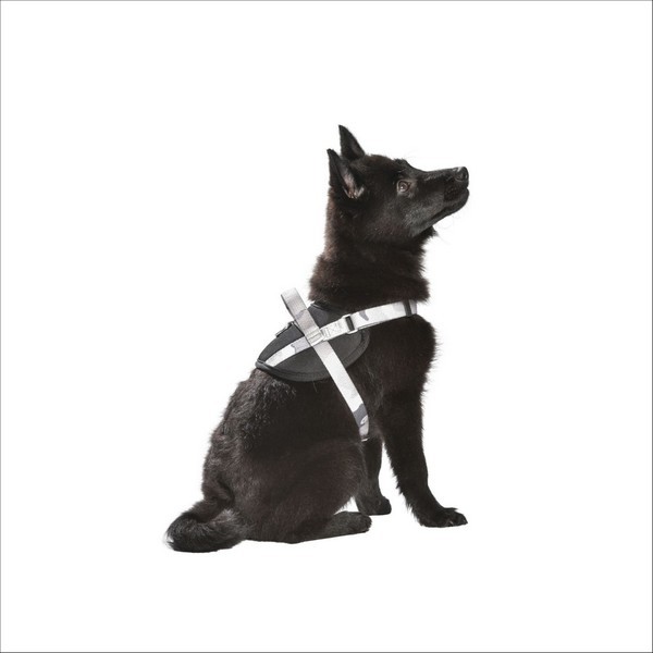 Harnais Easy Camouflage Pour Chien Bobby