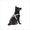 Harnais Easy Camouflage Pour Chien Bobby