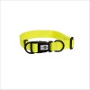 Collier Pvc Pop Pour Chien Bobby