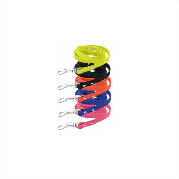 Laisse Pvc Pop Pour Chien Bobby