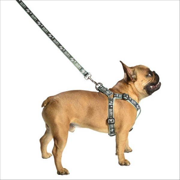 Harnais Baudrier Happy Pour Chien Bobby
