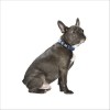 Collier Spotted Pour Chien Bobby