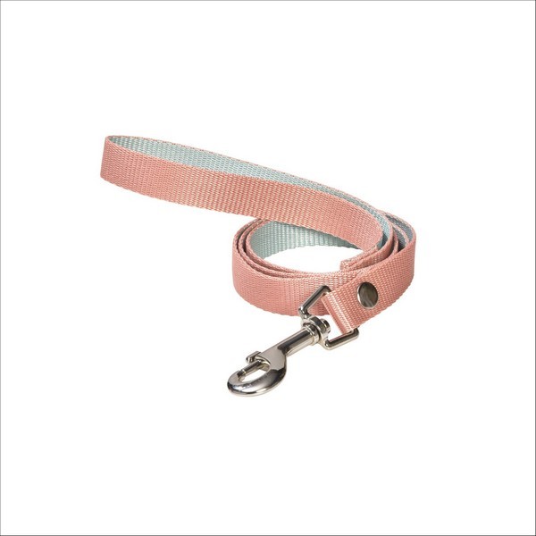 Laisse Spotted Pour Chien Bobby