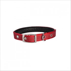 Collier Renfort Pour Chien Bobby