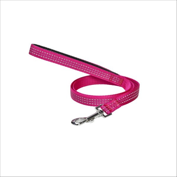 Laisse Renfort Pour Chien Bobby