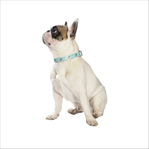 Collier Juicy Pour Chien Bobby