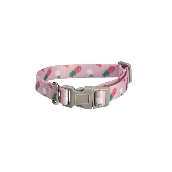 Collier Juicy Pour Chien Bobby