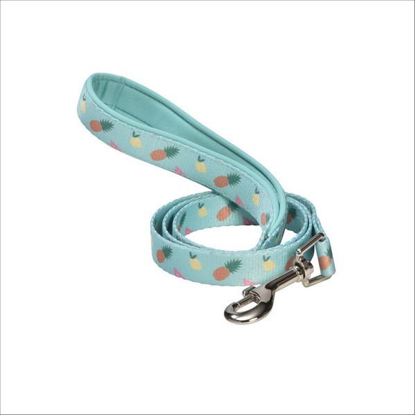 Laisse Juicy Pour Chien Bobby