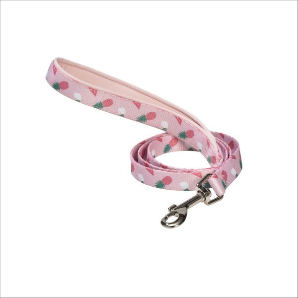 Laisse Juicy Pour Chien Bobby