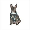 Harnais T-Shirt Juicy Pour Chien Bobby