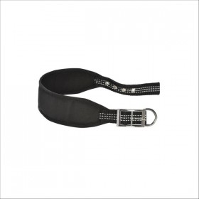 Collier Lévrier Oscar Pour Chien Bobby