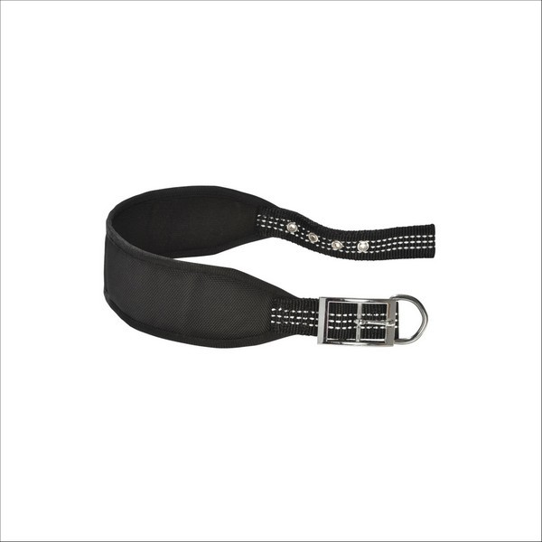 Collier Lévrier Oscar Pour Chien Bobby