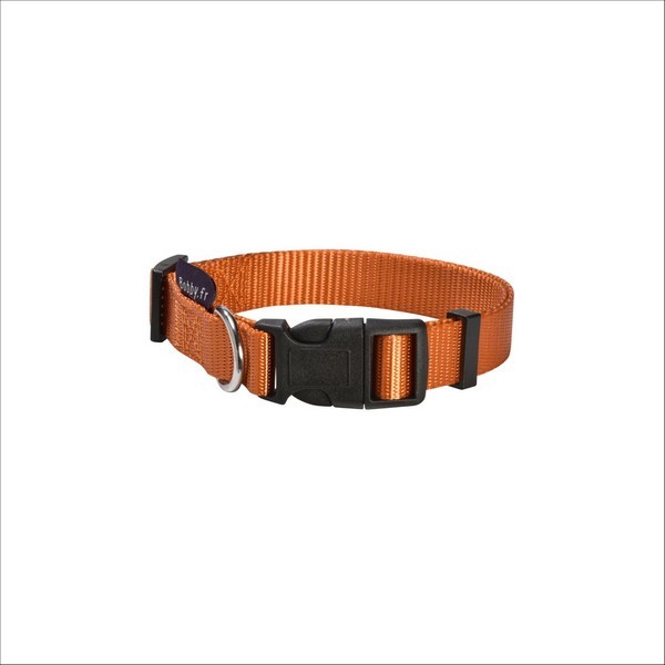 Collier Access Pour Chien Bobby