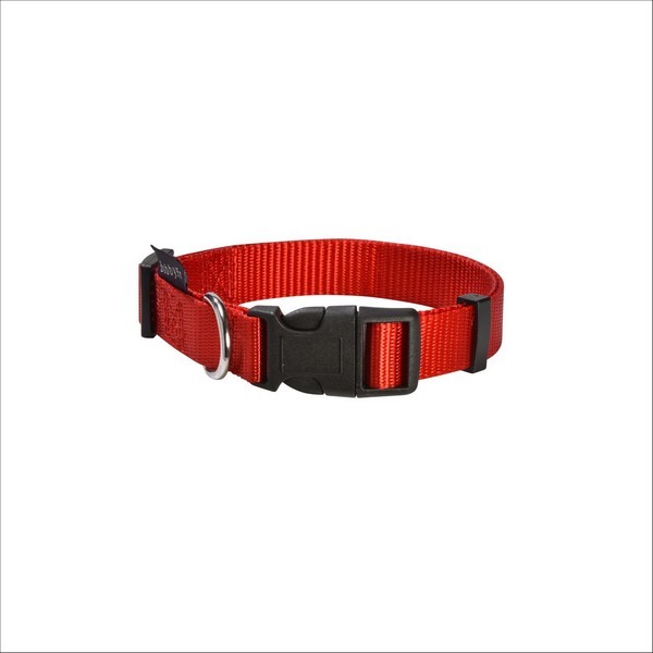 Collier Access Pour Chien Bobby