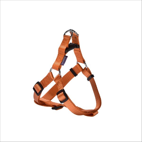 Harnais Access Pour Chien Bobby