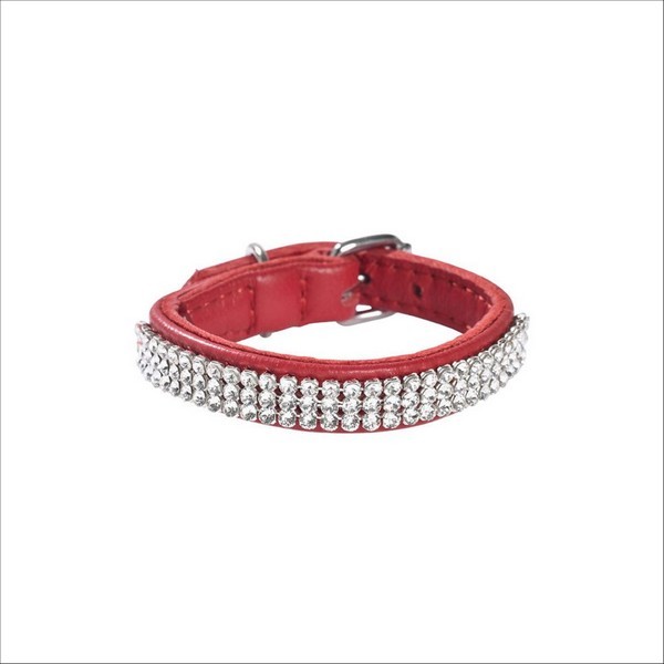 Collier Petite Princesse Pour Chien Bobby
