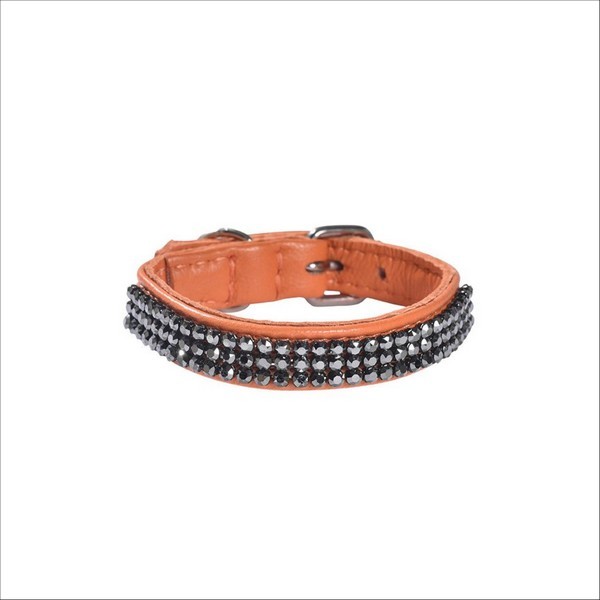Collier Petite Princesse Pour Chien Bobby