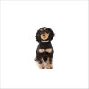 Collier Petite Princesse Pour Chien Bobby