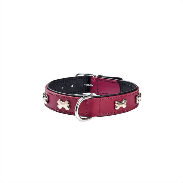 Collier Extra Souple Pour Chien Bobby