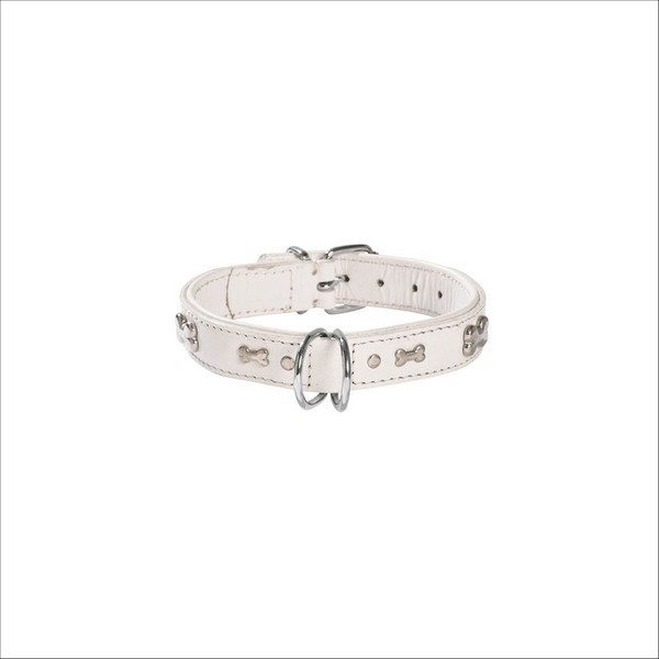 Collier Summer Pour Chien Bobby