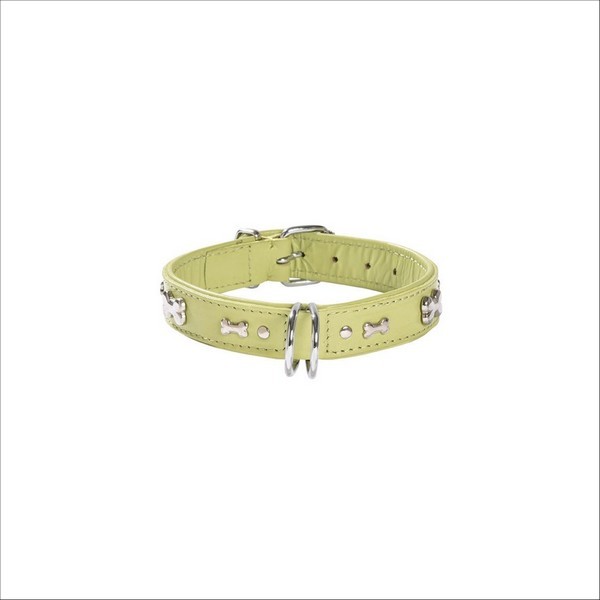 Collier Summer Pour Chien Bobby