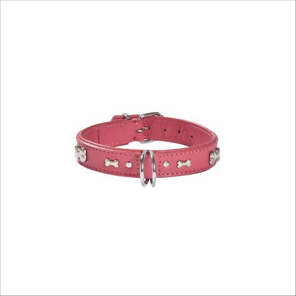 Collier Summer Pour Chien Bobby