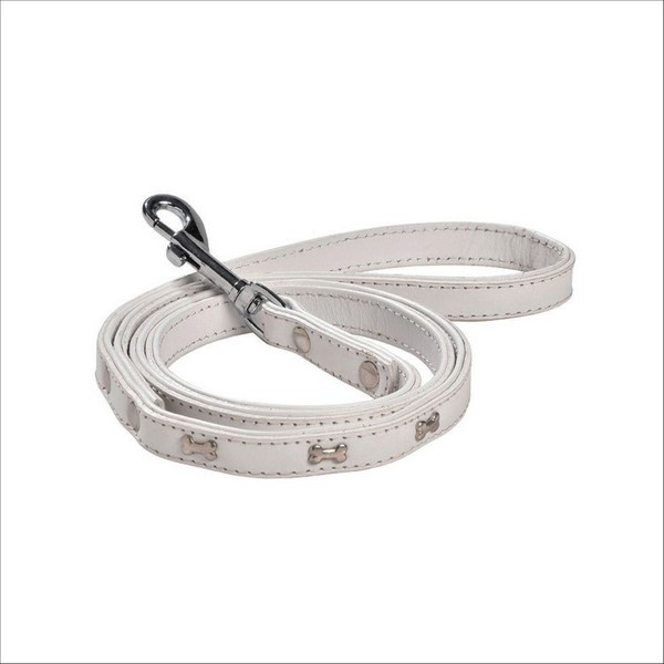 Laisse Summer Pour Chien Bobby