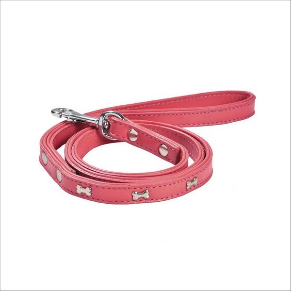 Laisse Summer Pour Chien Bobby